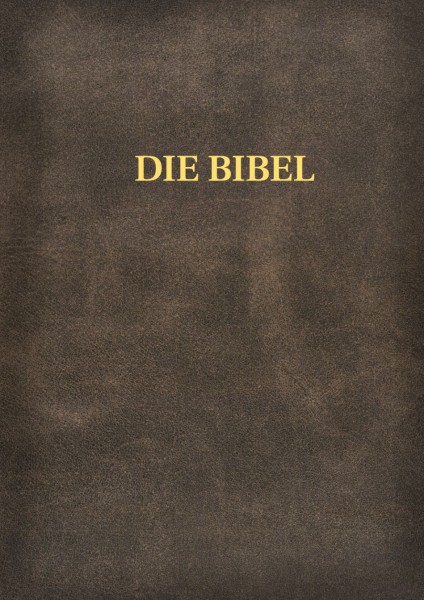 Schlachter 2000 - Schreibrandausgabe mit Parallelstellen
